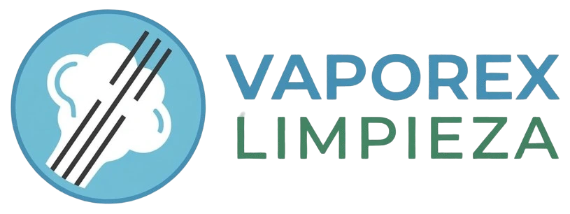 Vaporex Limpieza Logo